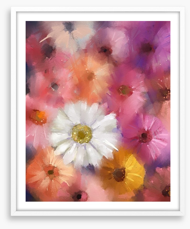 The white gerbera