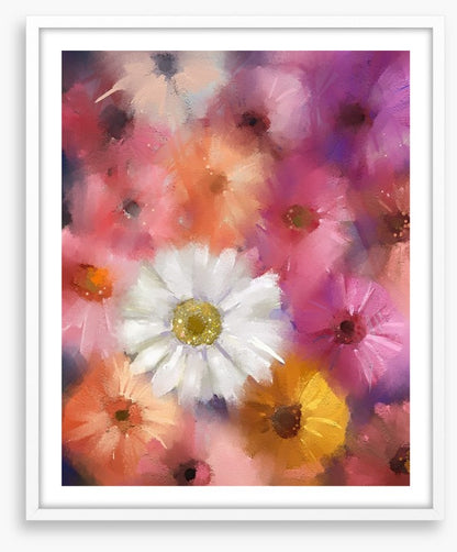 The white gerbera