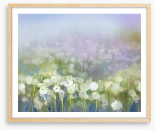 Fragrant mist