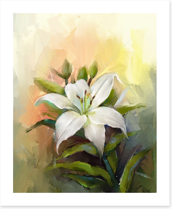 Trumpet lily triumph