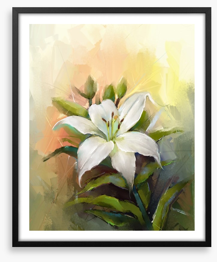 Trumpet lily triumph