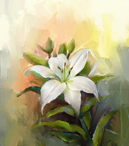 Trumpet lily triumph