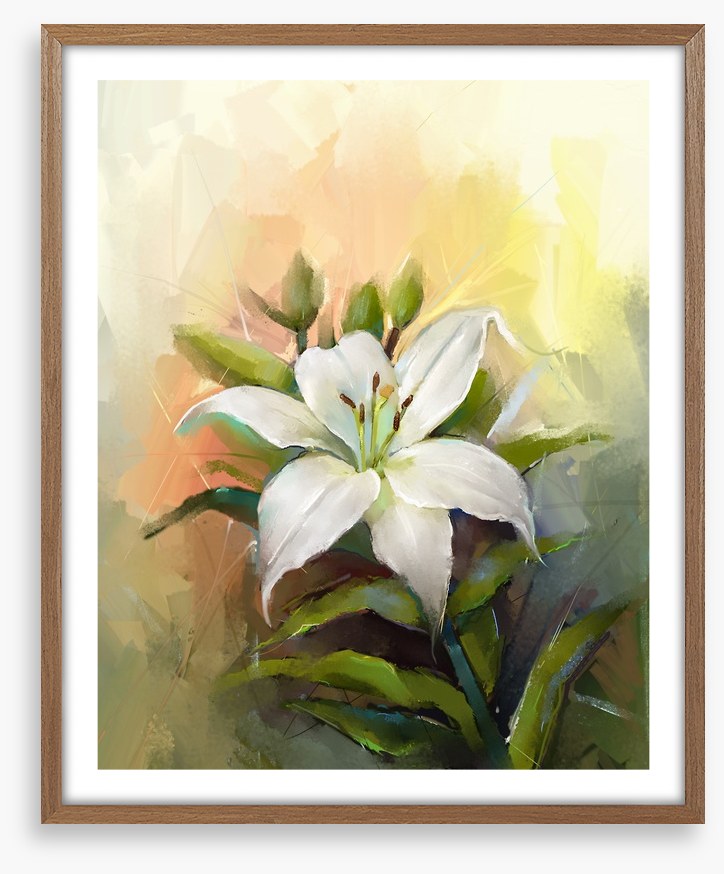 Trumpet lily triumph