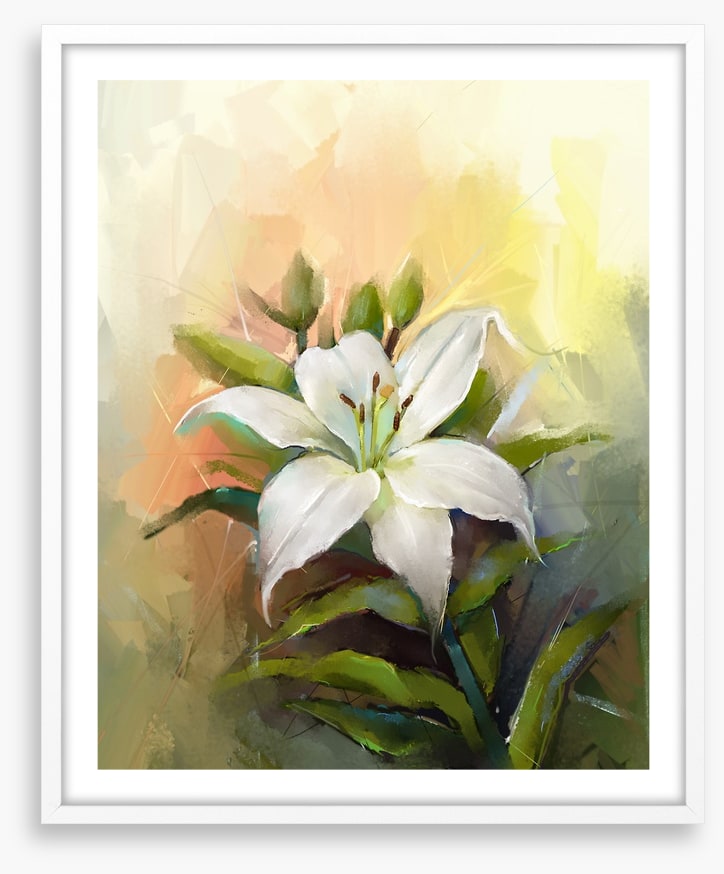 Trumpet lily triumph