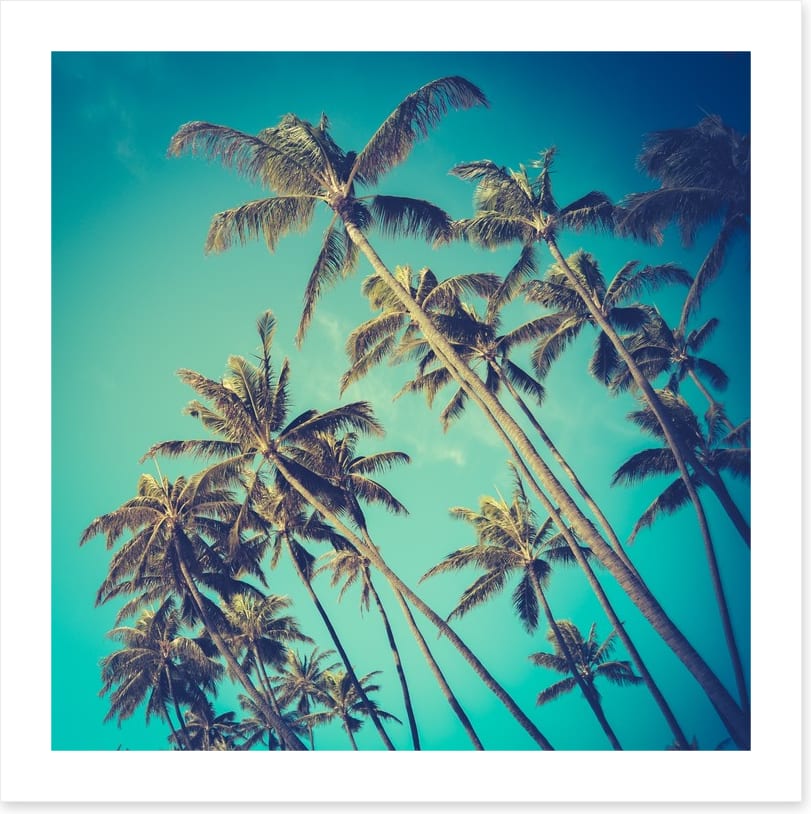 Retro palms