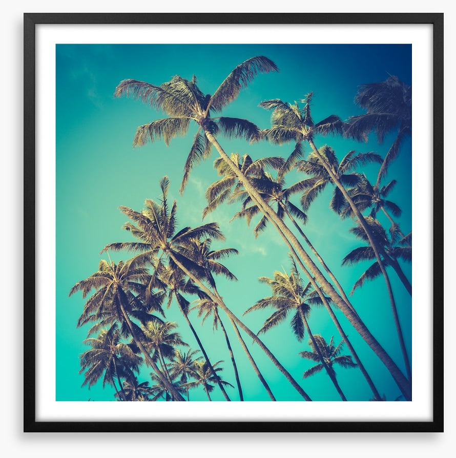 Retro palms
