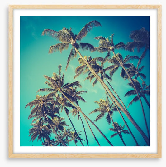 Retro palms