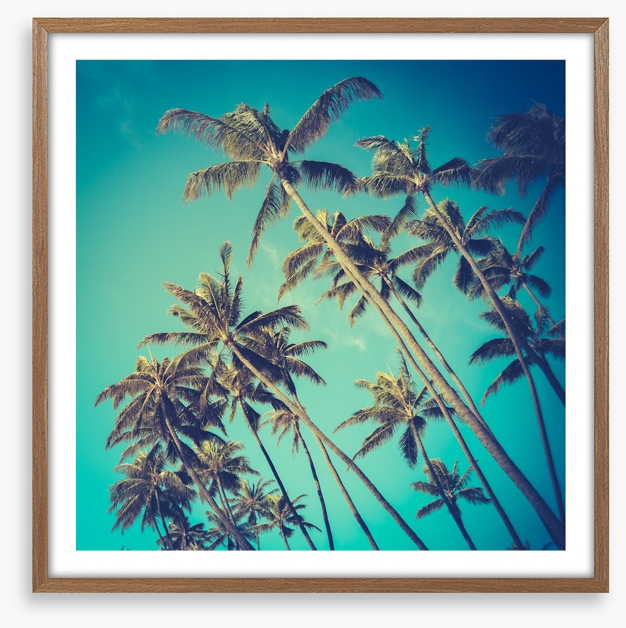 Retro palms