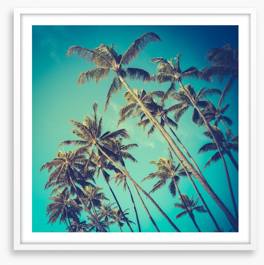 Retro palms