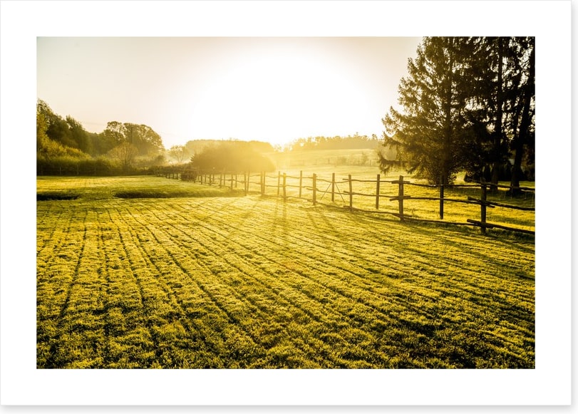 Agriculture