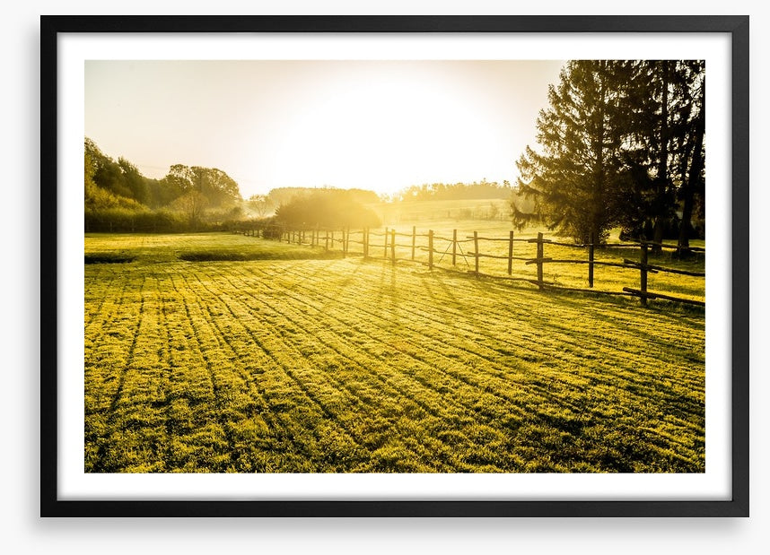 Agriculture
