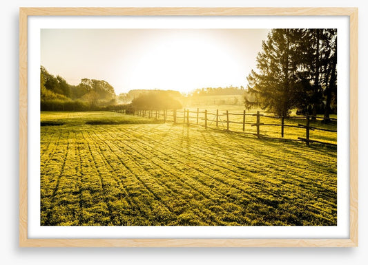 Agriculture
