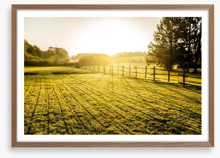 Agriculture