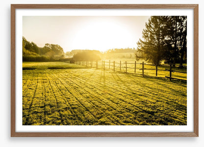 Agriculture