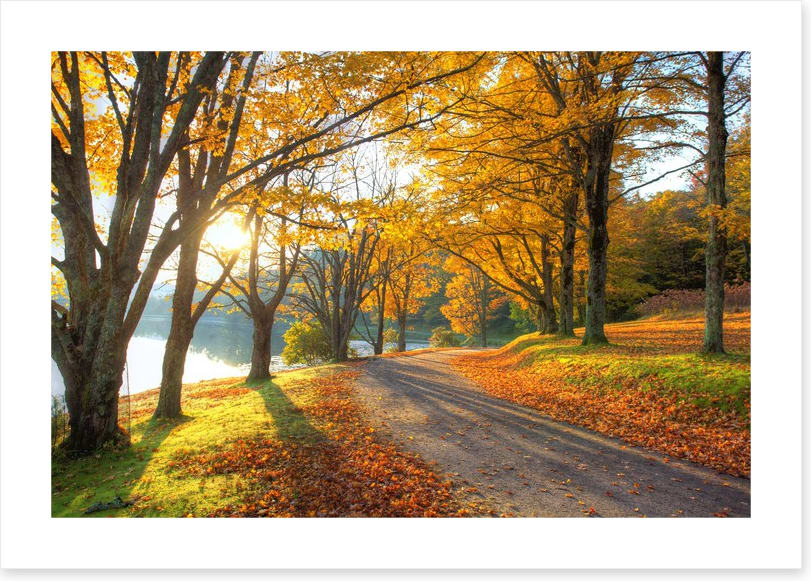 Path to the Autumn lake