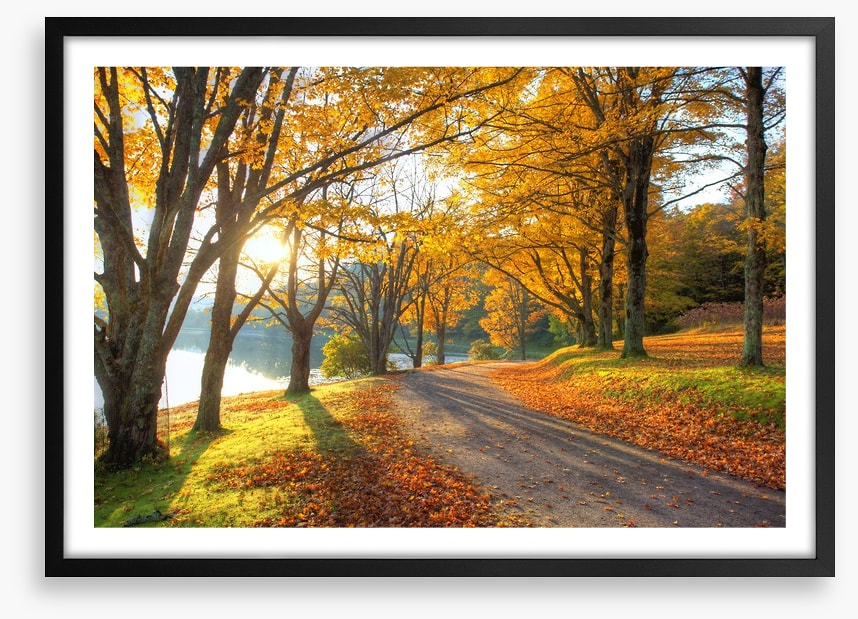 Path to the Autumn lake