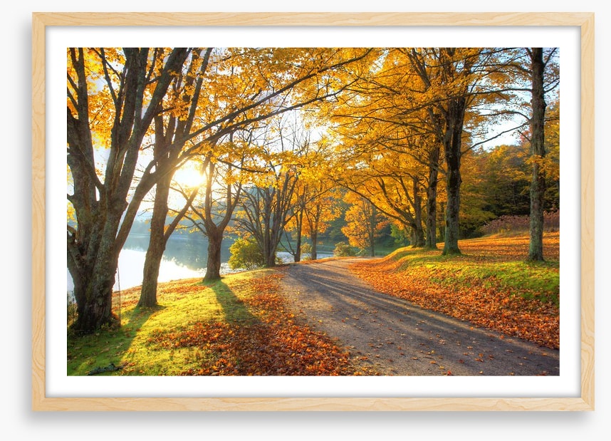 Path to the Autumn lake