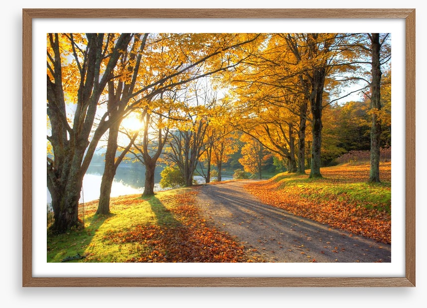 Path to the Autumn lake