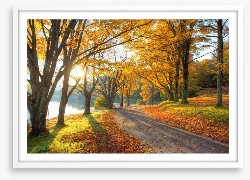 Path to the Autumn lake