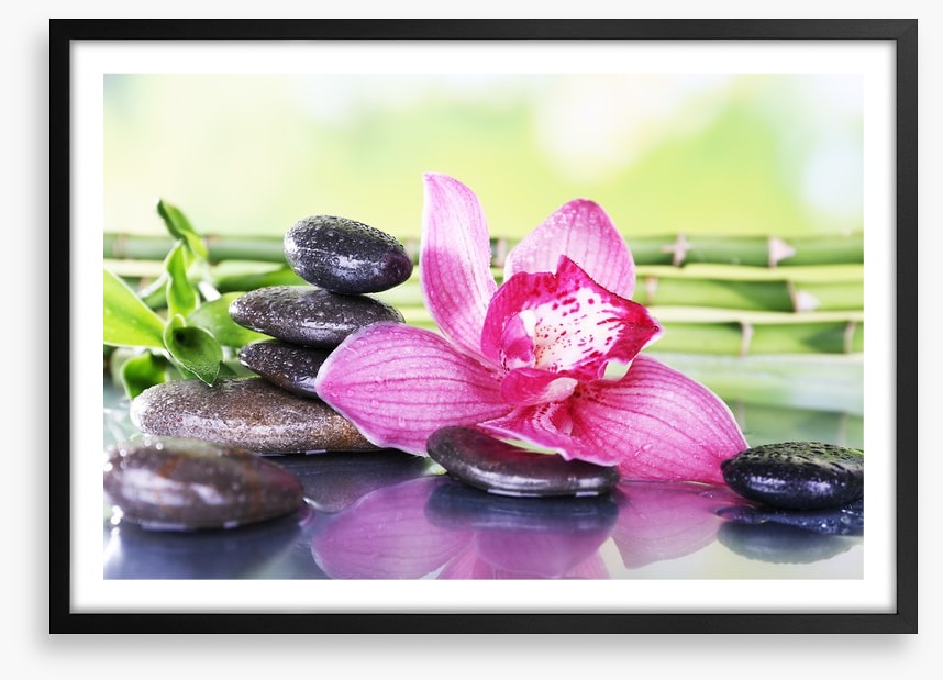Orchid attraction