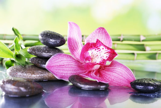 Orchid attraction