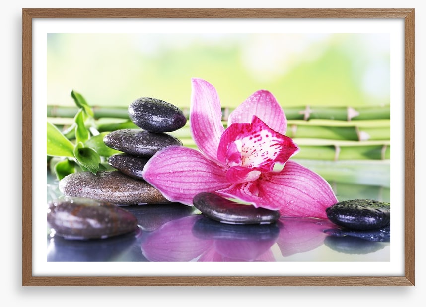 Orchid attraction