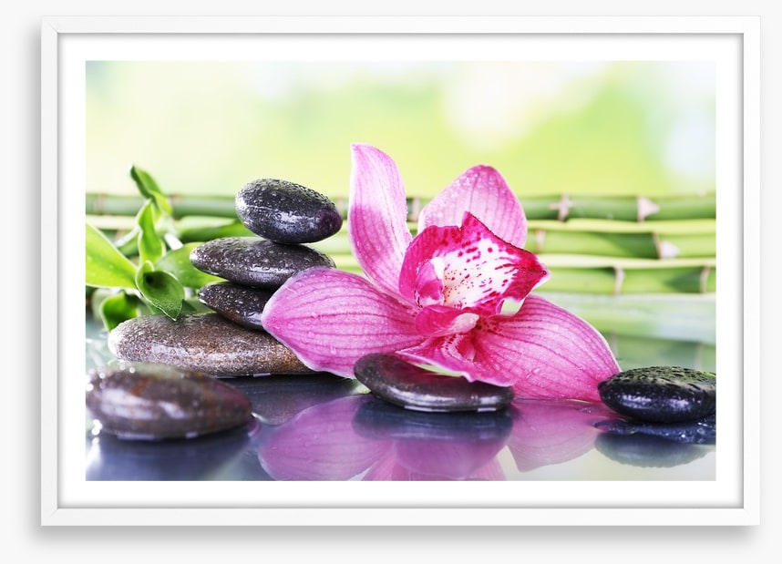 Orchid attraction