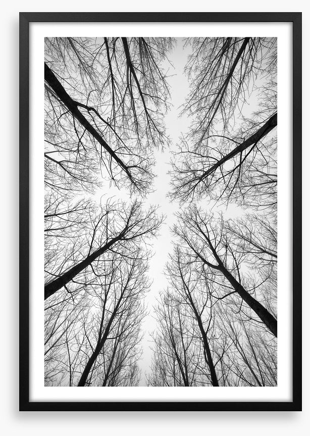 Looking up