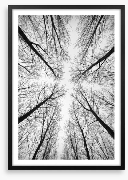 Looking up