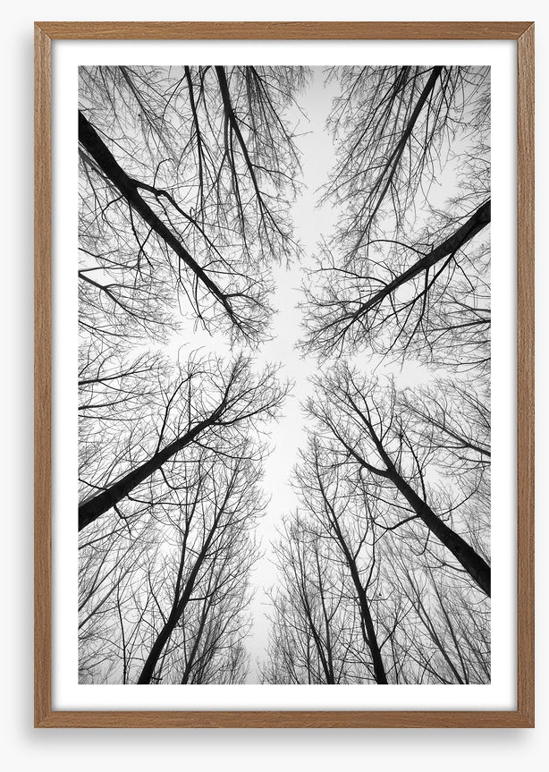 Looking up