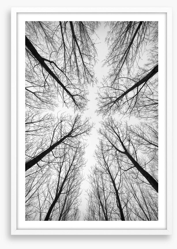 Looking up