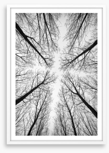Looking up