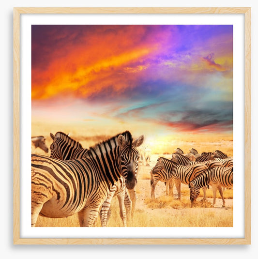 Serengeti sunset