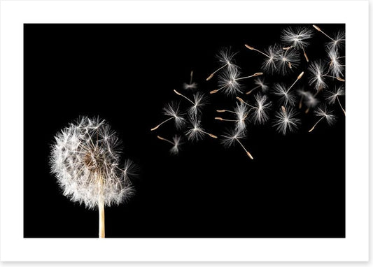 Fragility