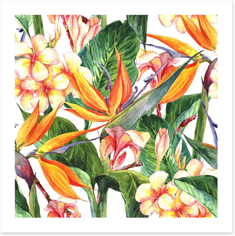 Exotic hibiscus leaves