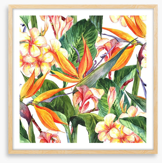 Exotic hibiscus leaves