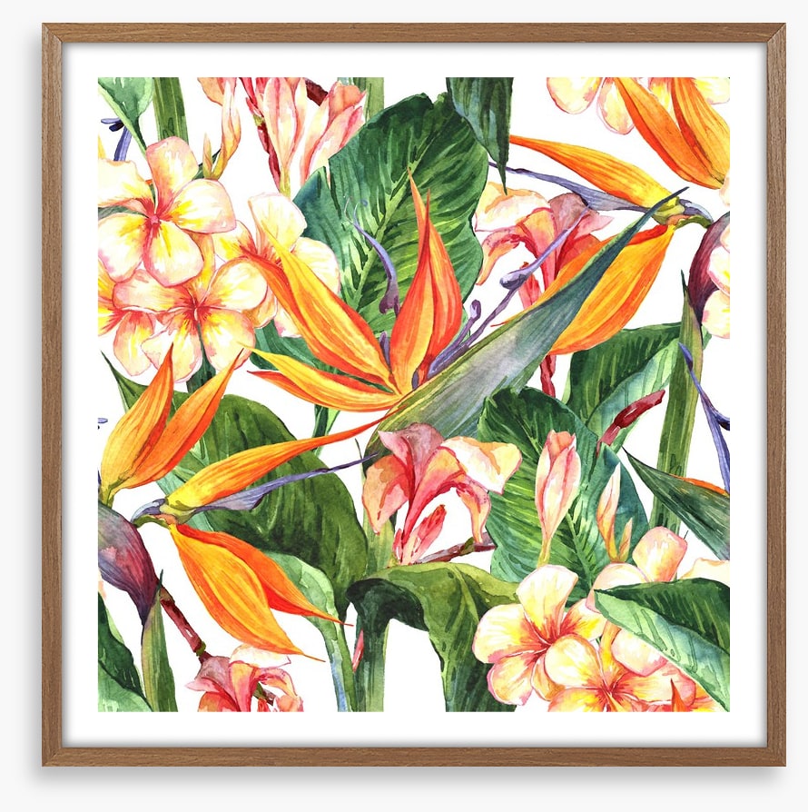 Exotic hibiscus leaves