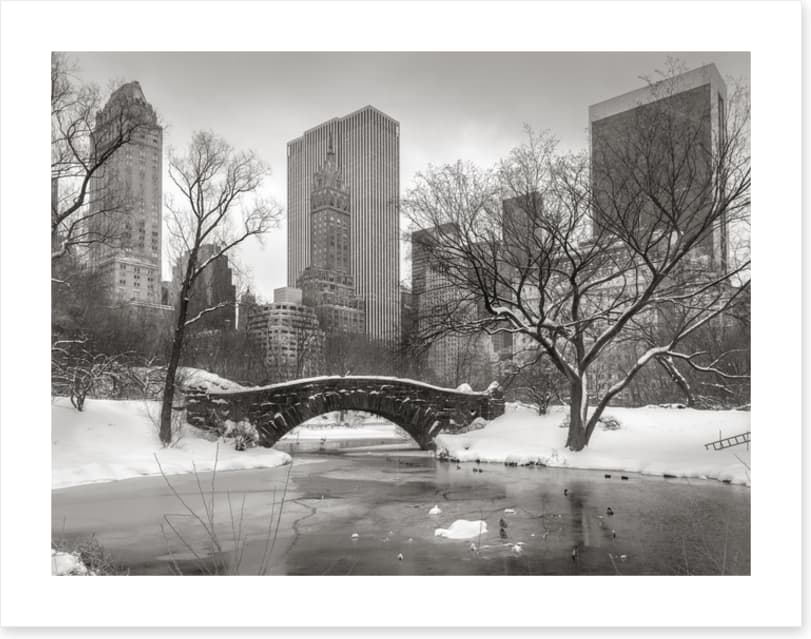 Central Park glacé