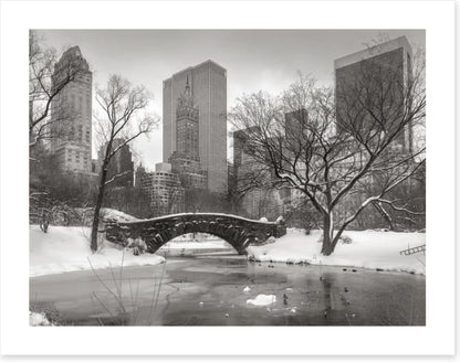 Central Park glacé