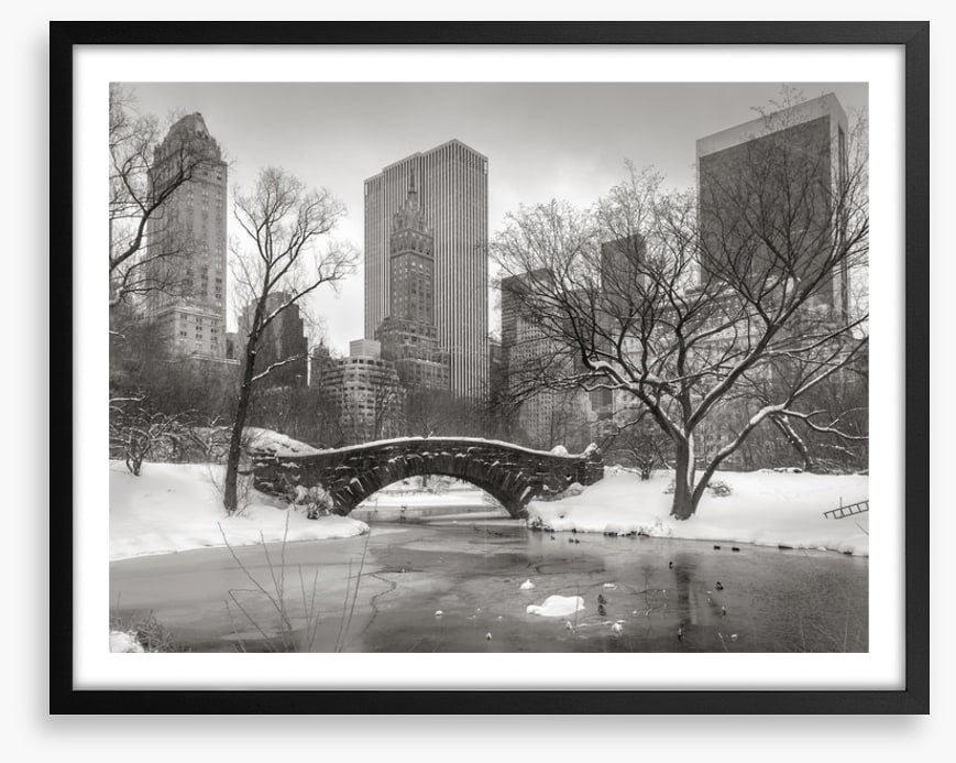 Central Park glacé