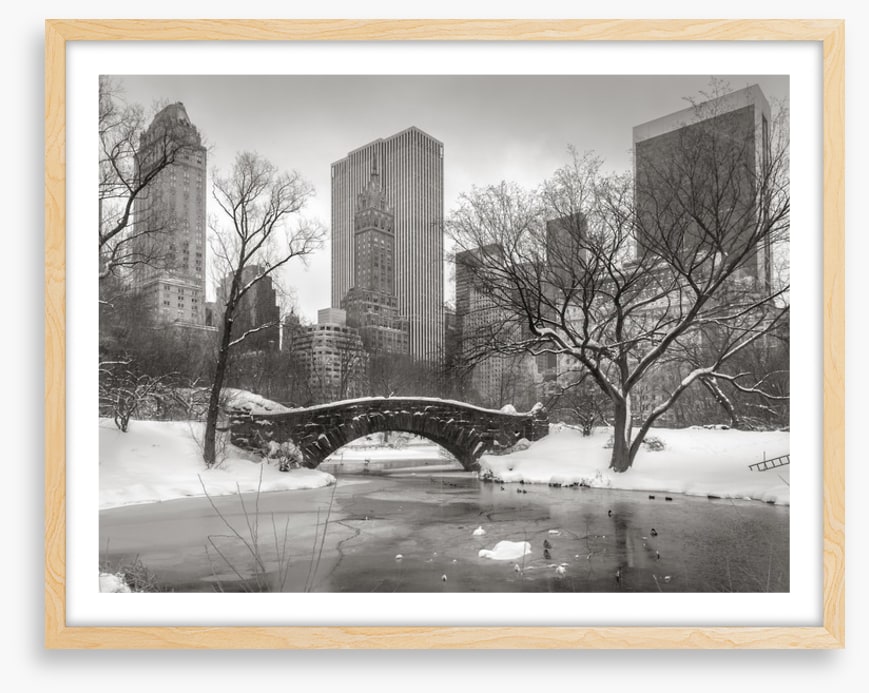 Central Park glacé