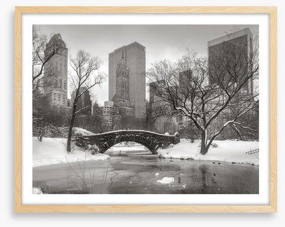 Central Park glacé