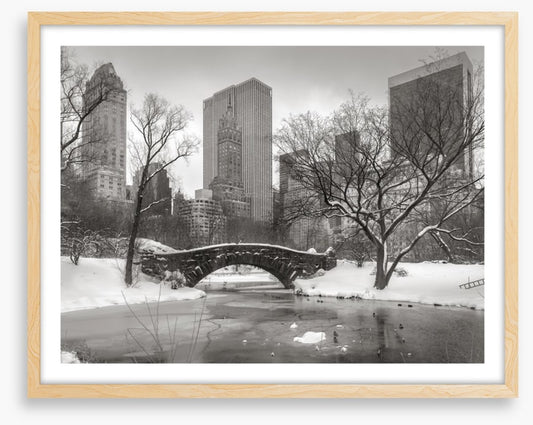 Central Park glacé