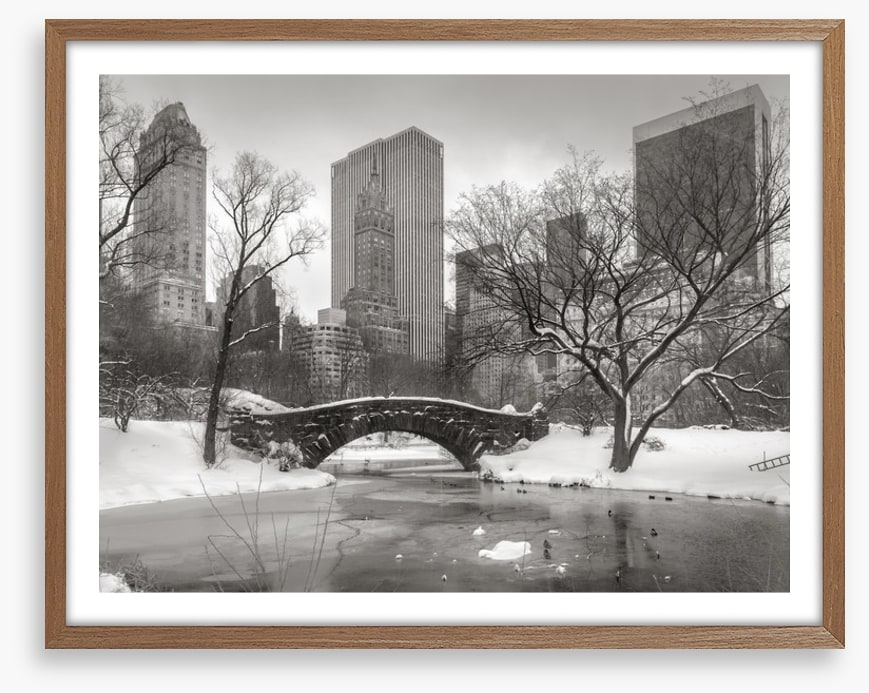 Central Park glacé