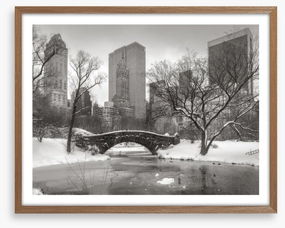 Central Park glacé