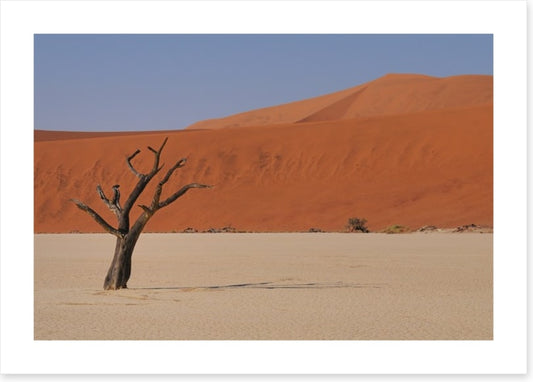Africa