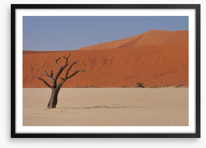 Africa