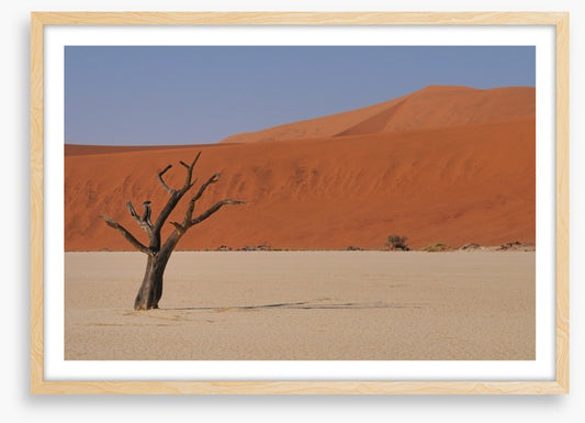 Africa