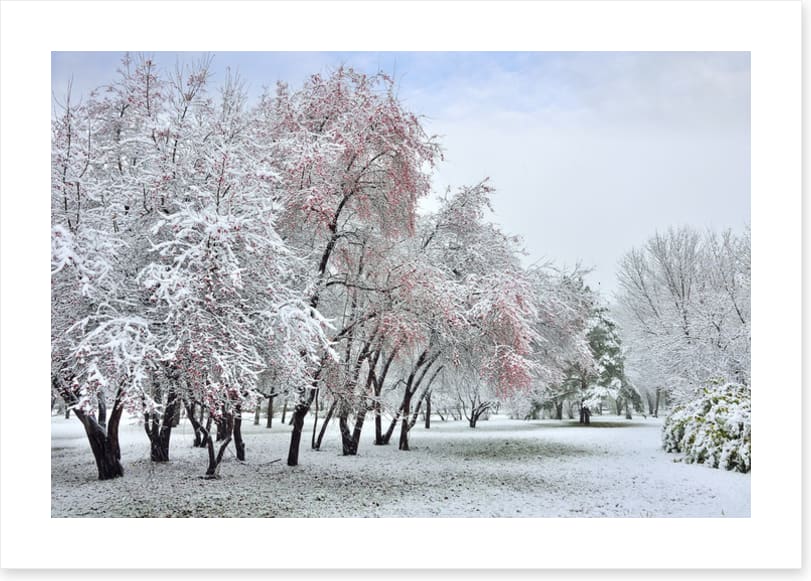 The start of winter