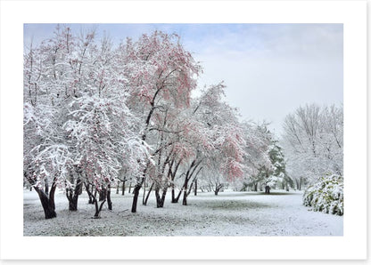 The start of winter